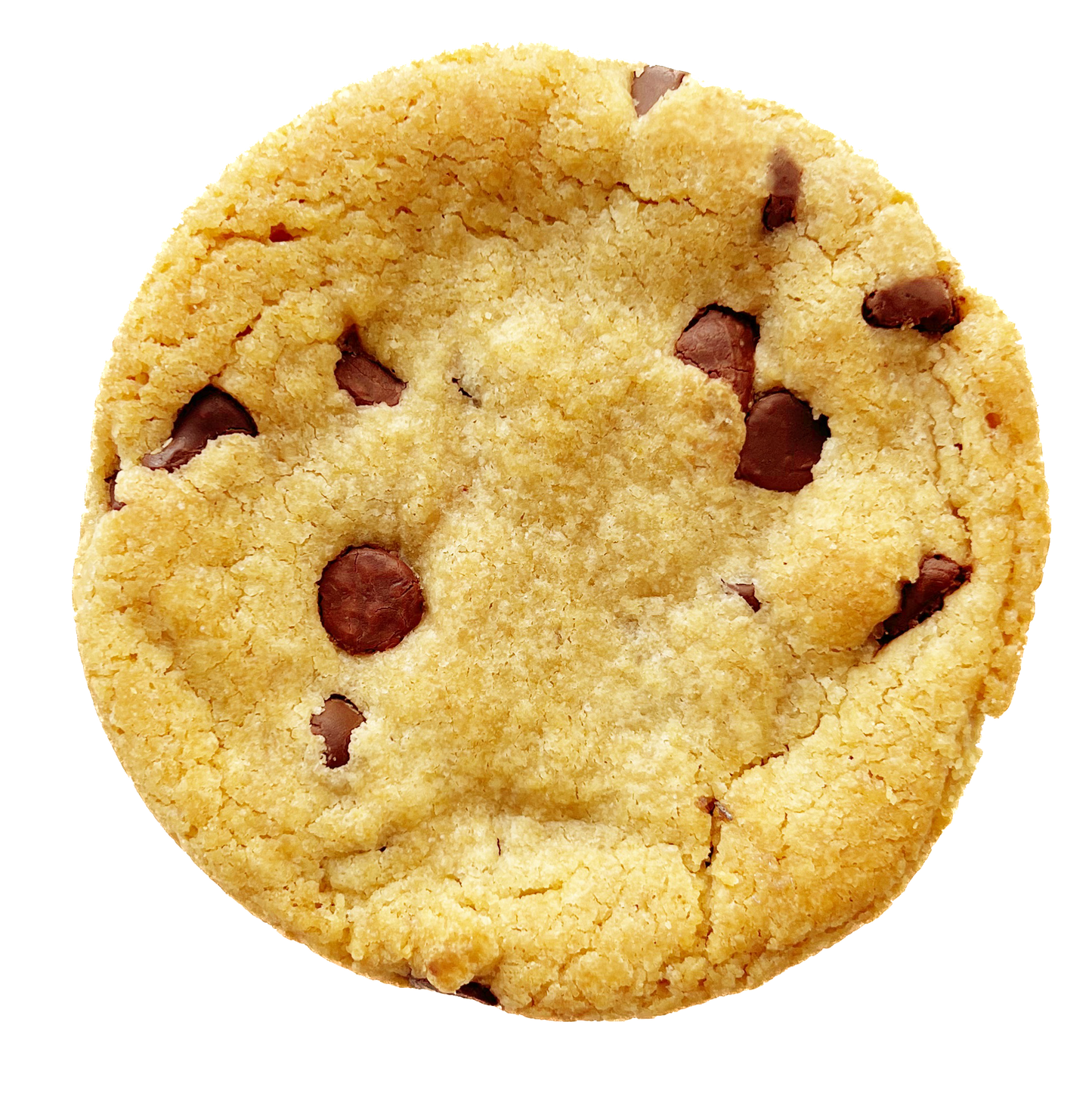 Nutella Chocolate Chip Wholesale