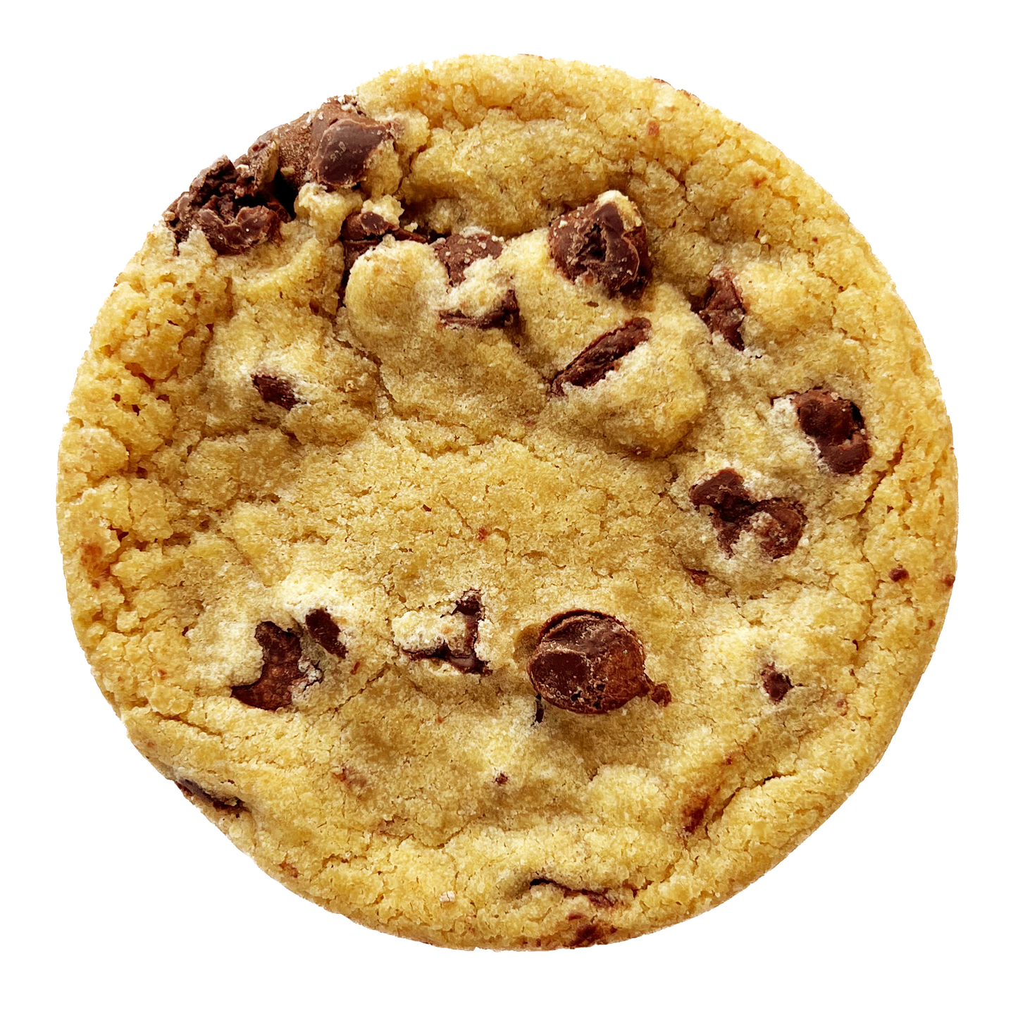 Chocolate Chip Wholesale